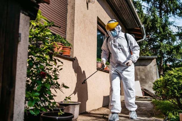 Wildlife Control Services in Dickinson, TX
