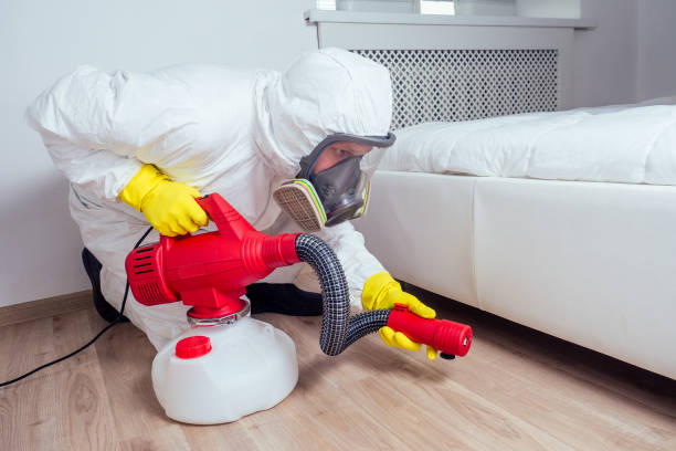 Best Emergency Pest Control  in Dickinson, TX