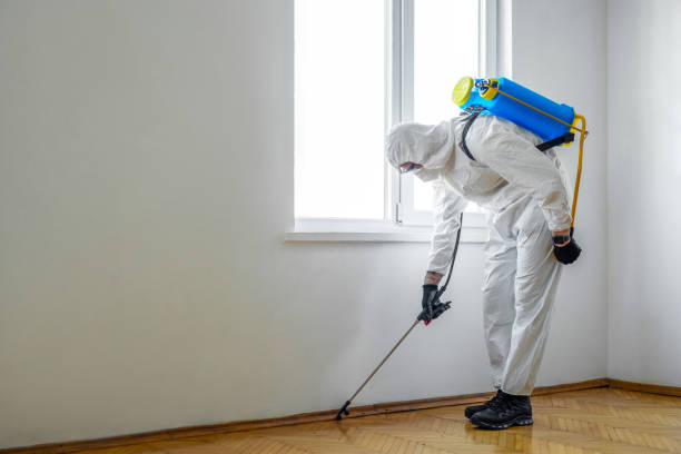 Best Residential Pest Control  in Dickinson, TX