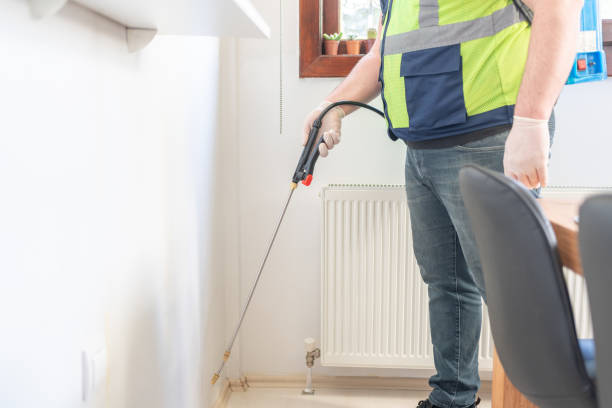 Professional Pest Control in Dickinson, TX